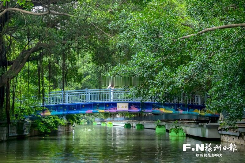 福州内河沿线完成新一轮景观提升让福州的内河游，从“坐船看景”变成“处处皆景”