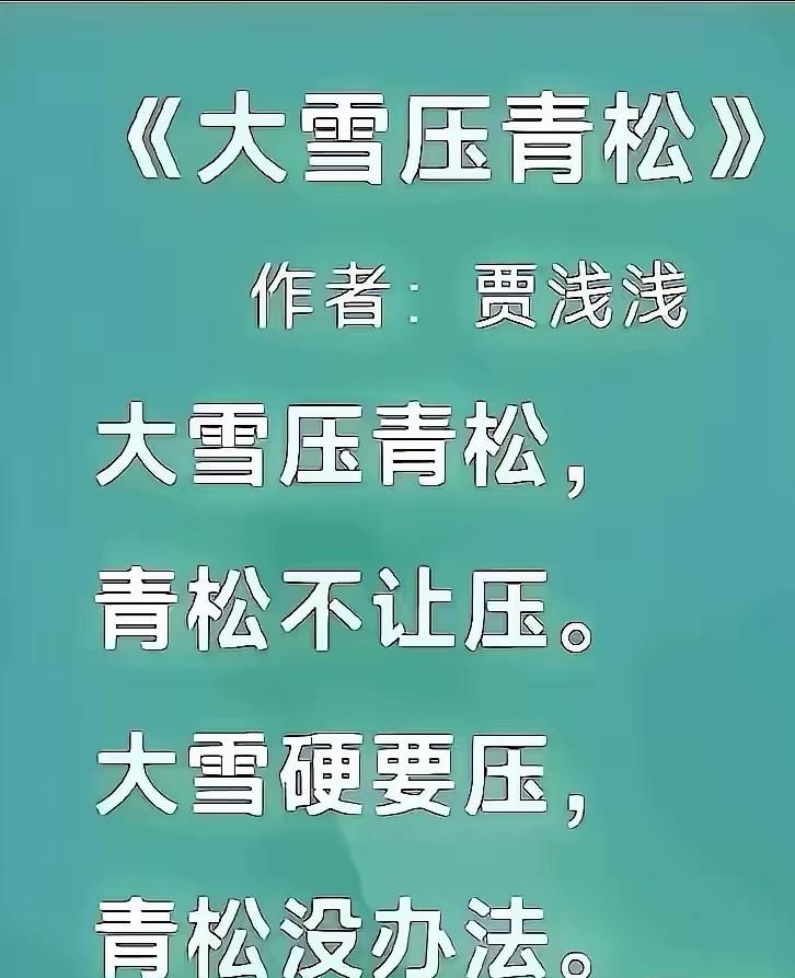 这就是贾浅浅的诗，最大的特点就是识字的人都看得懂，如此接地气，为啥评论区骂声一片