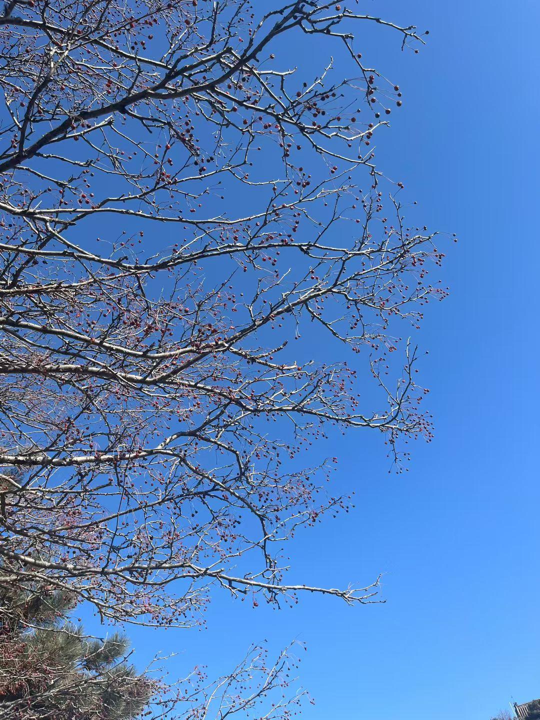 AI逼我们再次思考“人是什么，我们来自哪里，将去向何方”
哲学多年没有实质创新，