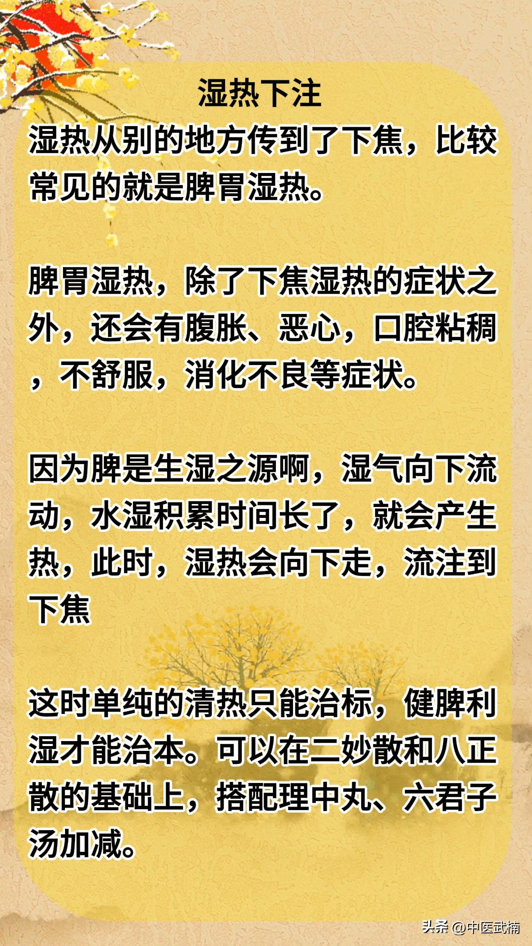 湿热下注和下焦湿热，虽然都是湿热，但是还是有好多人傻傻分不清楚？