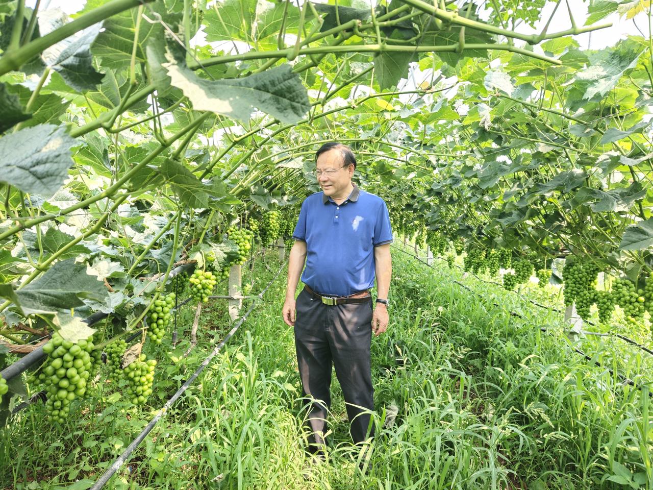 介绍一个可套用的农业项目申报框架。
第一部分：项目基础。主要内容：基地面积、区位