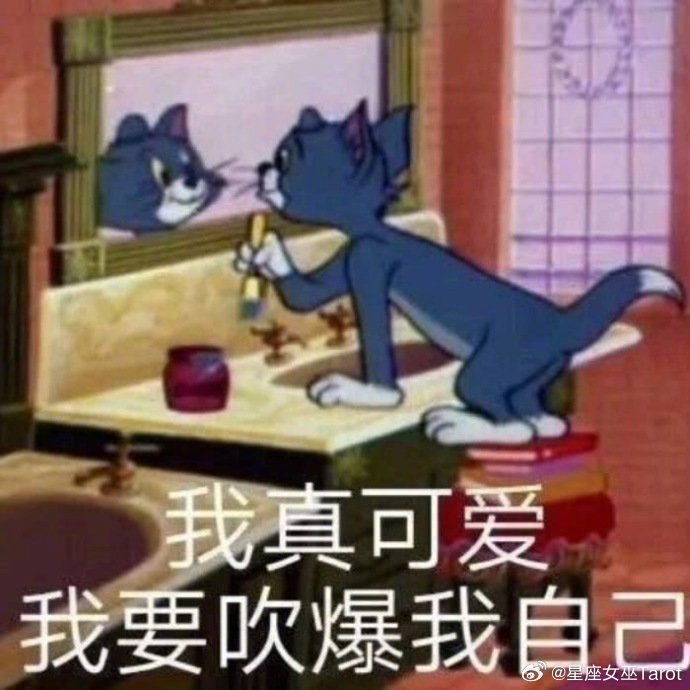 十二星座出门随身必备的物品：必带钱包手机：金牛、摩羯必带补妆用品：天秤、狮子必带