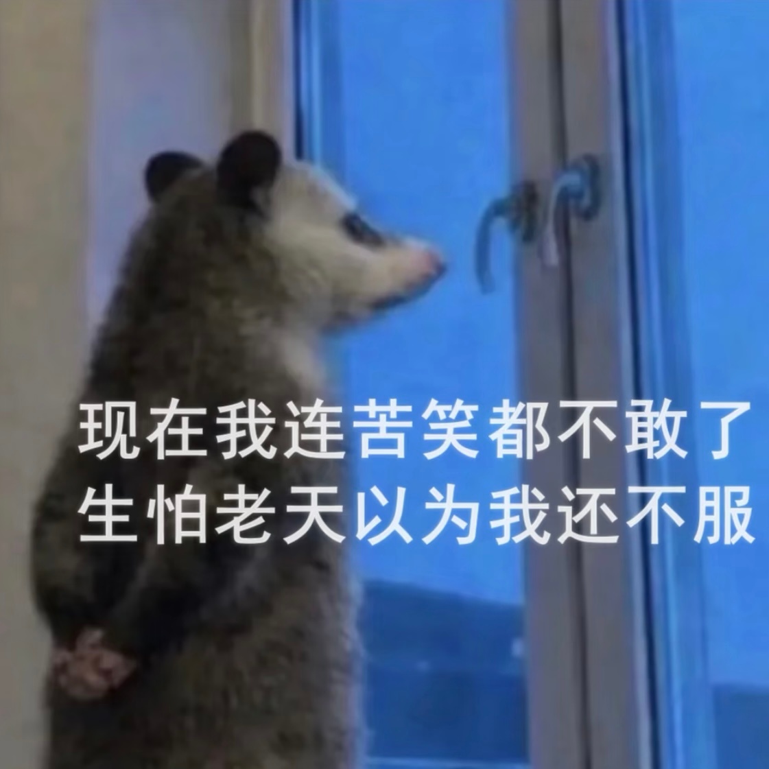 心情： 
