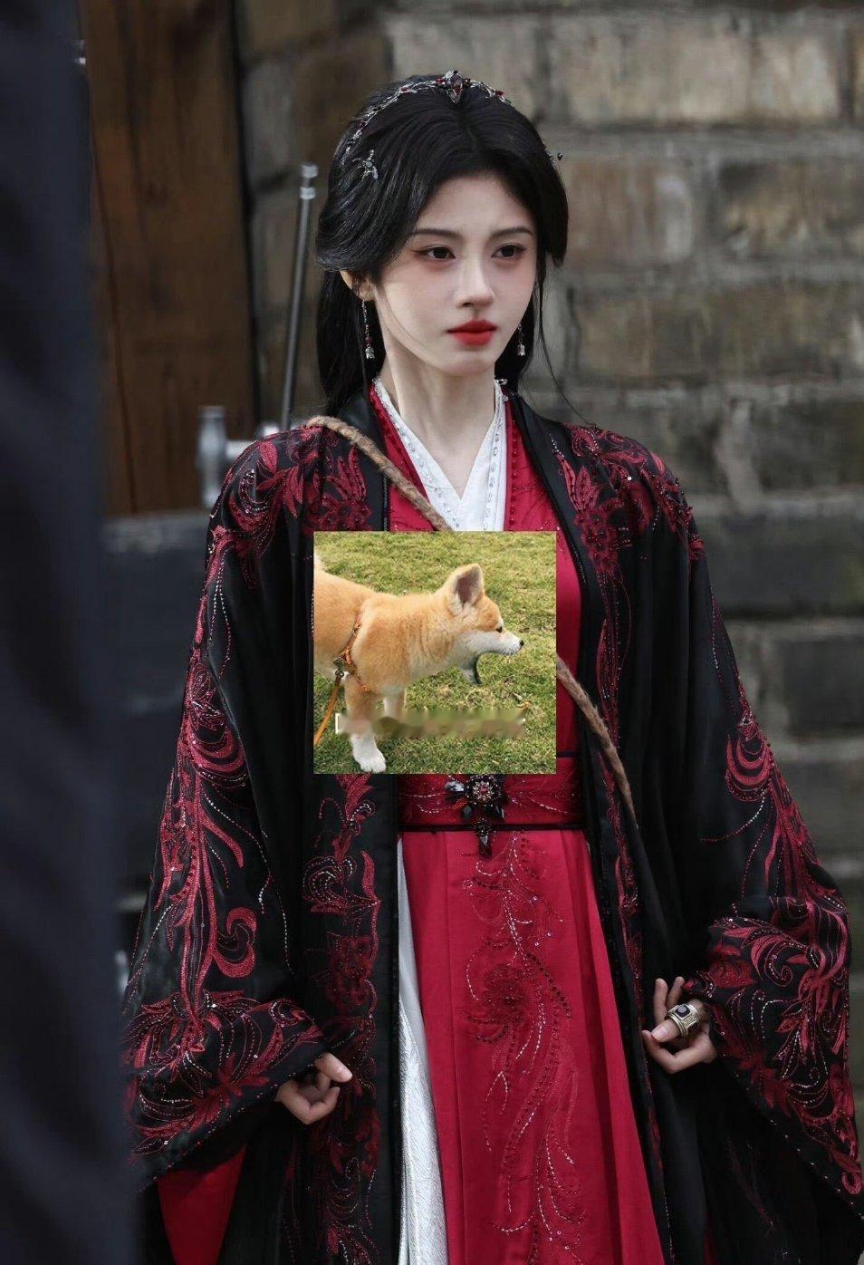 同一代拍下《月鳞绮纪》剧组演员生图状态:鞠婧祎 曾舜晞 陈都灵 田嘉瑞。 ​​​