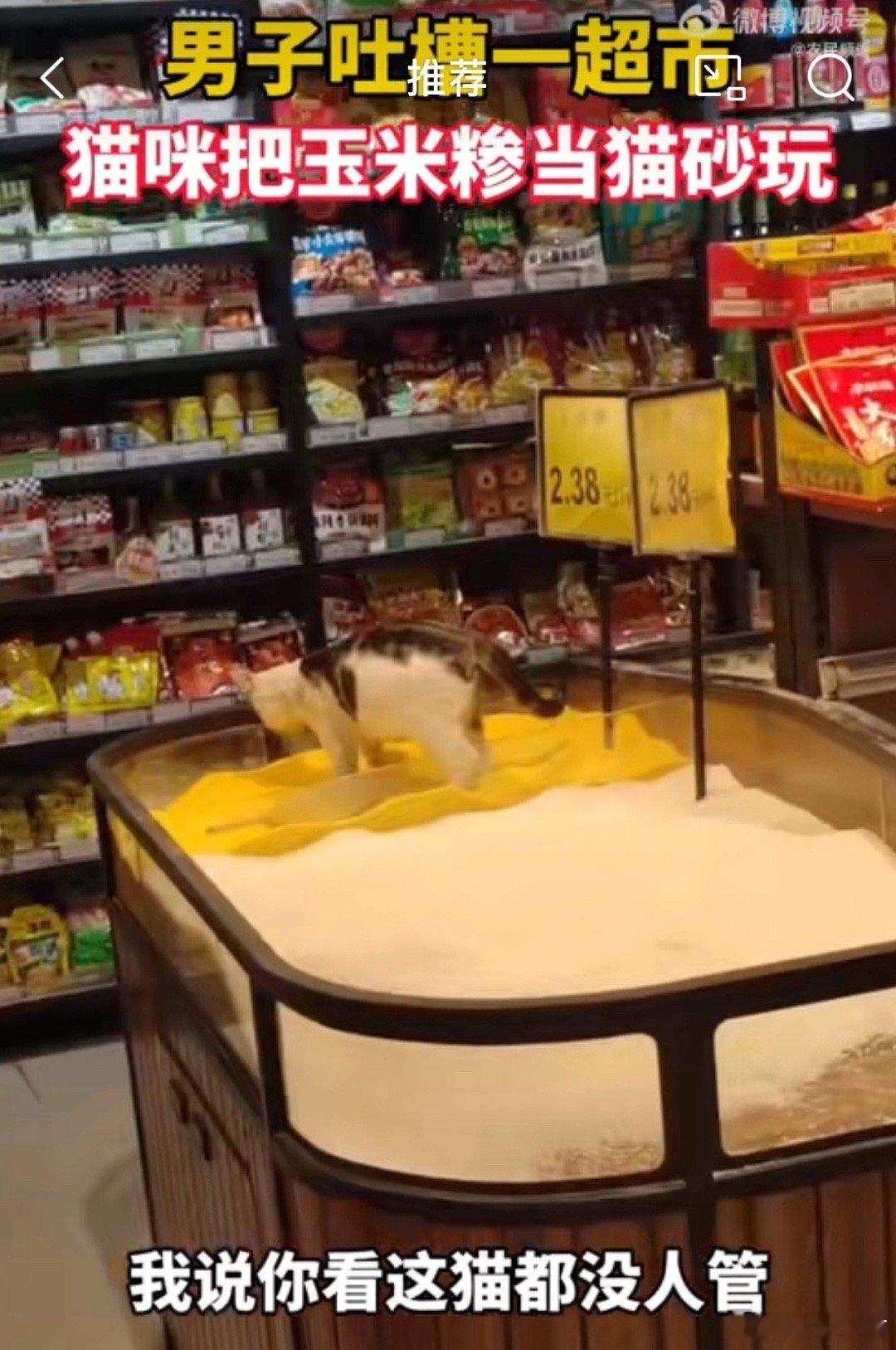#猫咪超市粮食区把玉米糁当猫砂#动物天性无法改变，人的管理可以加强。 ​​​