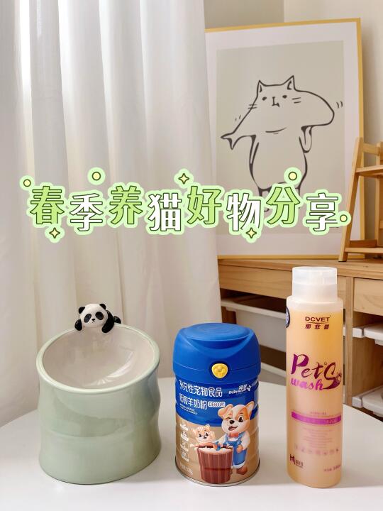 开春了，养猫好物分享来一波～