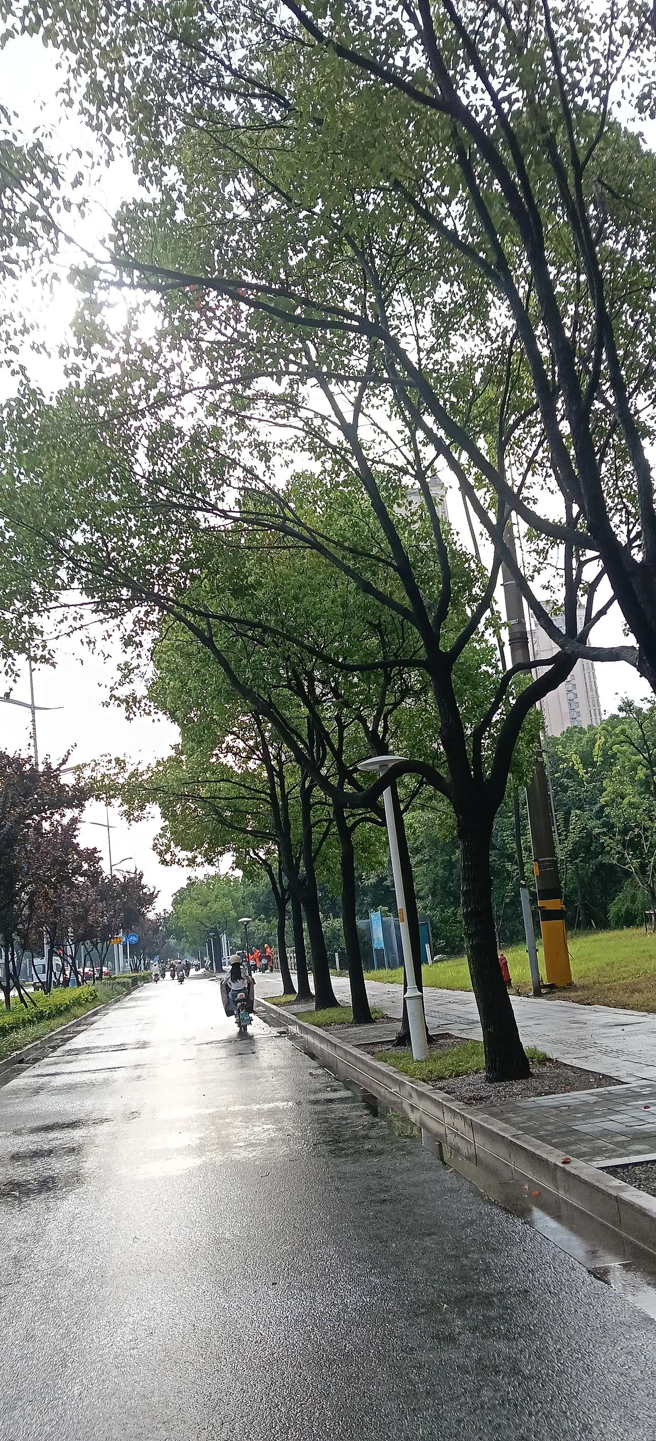 经典下联：无心插柳柳成荫，世事往往皆是这般机缘巧合。
 
上联：有心栽花花不发求