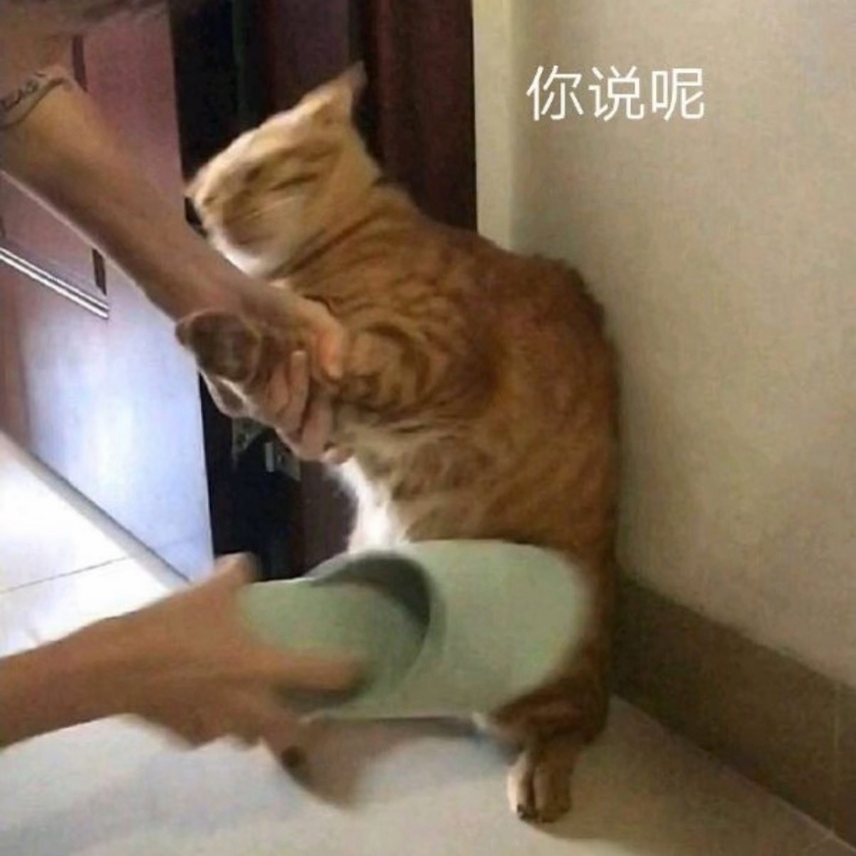 女子将敬酒服穿脏后焊接吊牌退货敬酒服穿完弄脏了，还把剪掉的吊牌焊回去退货，这操作