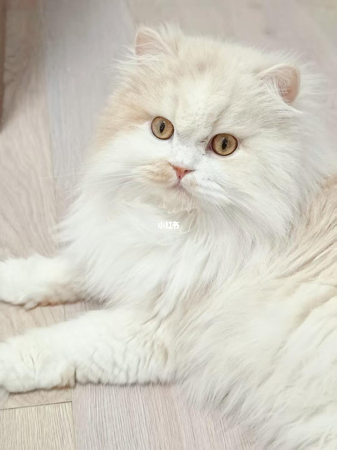 躺了！