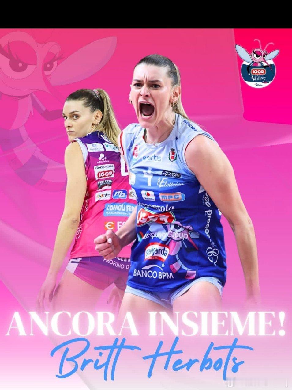 意甲诺瓦拉官宣跟比利时主攻赫博茨续约。排球国际排坛动态