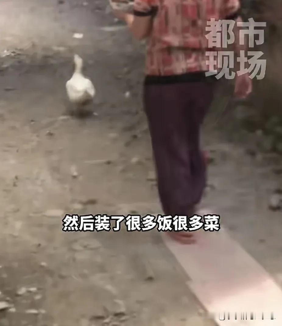 18岁的孙女考上了大学，家里人为她办了一个升学。中途她的奶奶拿了一个很大的碗，装