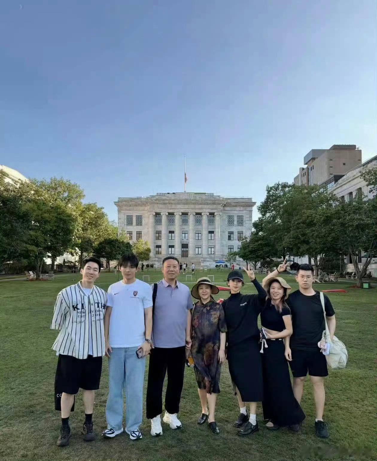 刷到一张超级美的杨紫 