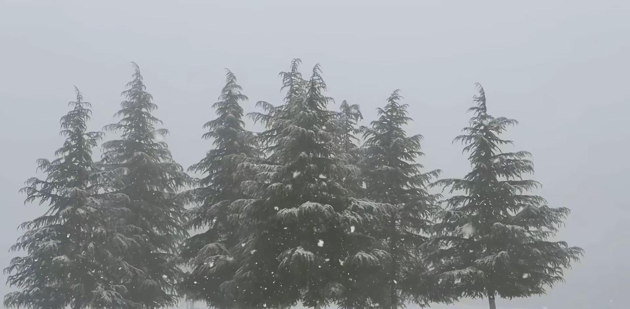 当你什么都不在乎的时候, 你的人生才刚刚开始, 喧闹任其喧闹, 自有我自为之; 