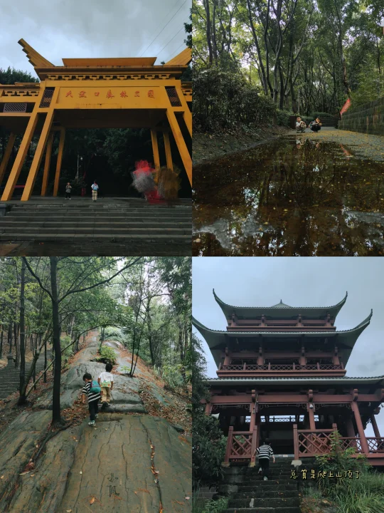 下雨天关我爬山什么事之大渡口森林公园
