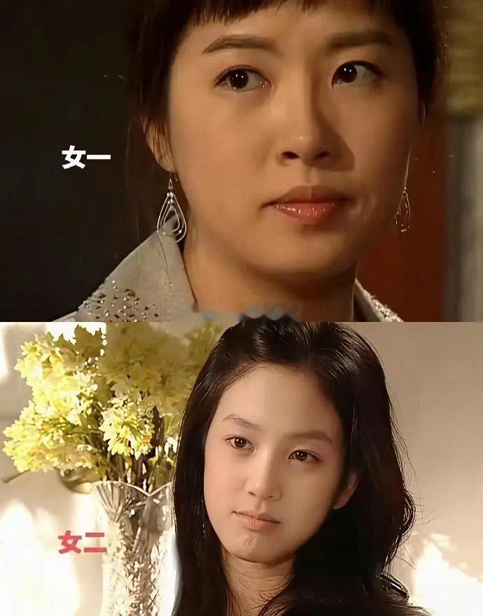 小时候不知有“带资”进组这一说，
就觉得这女二那么美，
咋就当了绿叶呢？
这么多
