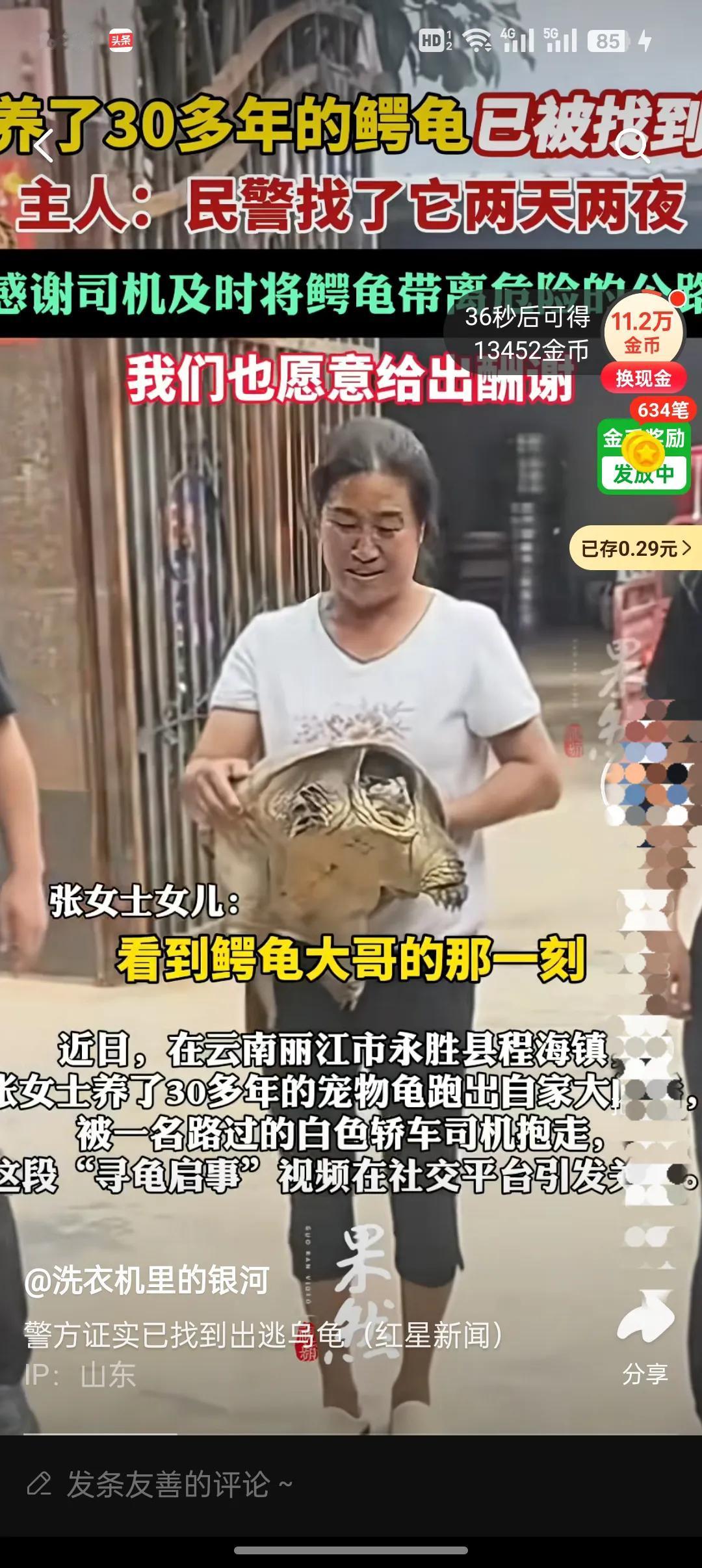 云南丽江这事儿还挺暖！张女士养了30多年的鳄龟跑出门，被路过司机抱走，急坏一家人
