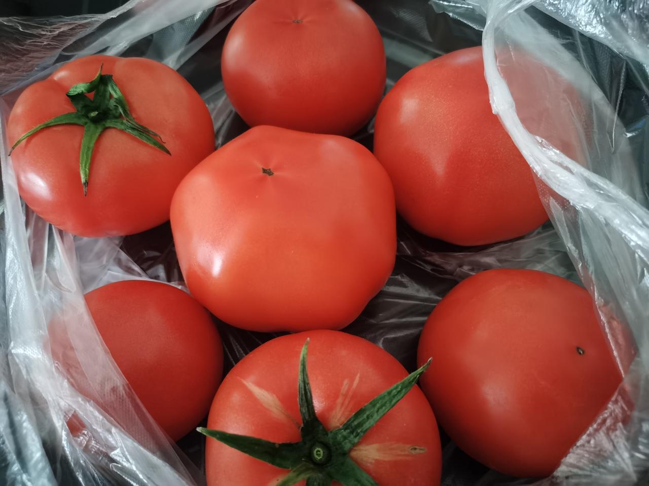 西红柿究竟是蔬菜,还是水果呢?
今天，
       终于买到心心念念的西红柿了