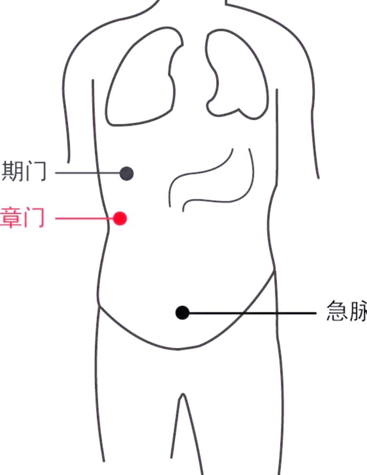 【每日一穴】章门穴：侧腰的“五脏总管”，郁闷胀堵揉这里！

你是不是常有这样的感