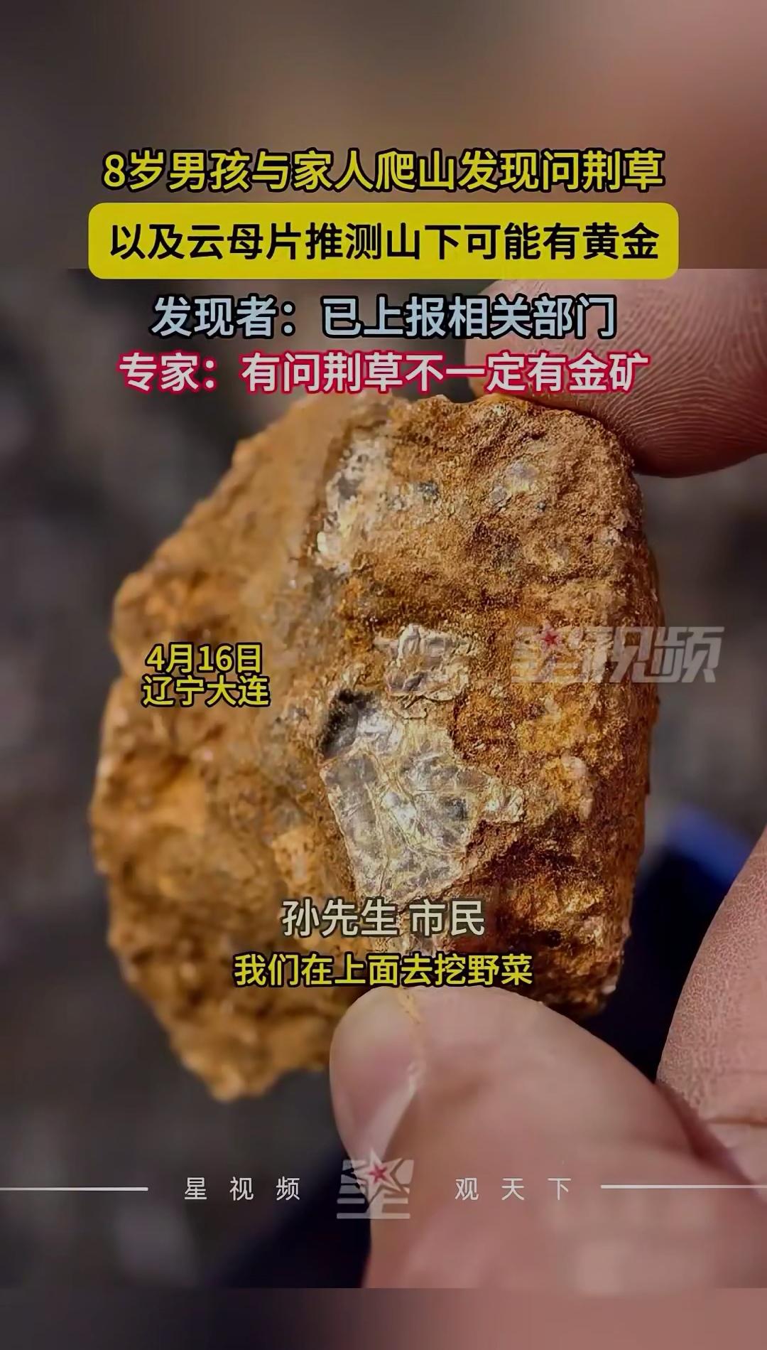 8岁男孩爬山发现"金矿线索" 童言真能一语中的？8岁孩童的自然智慧 
 
辽宁大