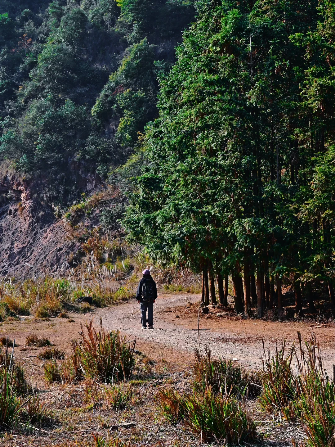 衢州这古道后劲太大了😭上班5天还没缓过来