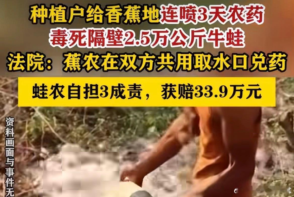 香蕉地喷3天农药毒死隔壁5万斤牛蛙把公共水库当农药稀释池，3天毒死5万斤牛蛙。判