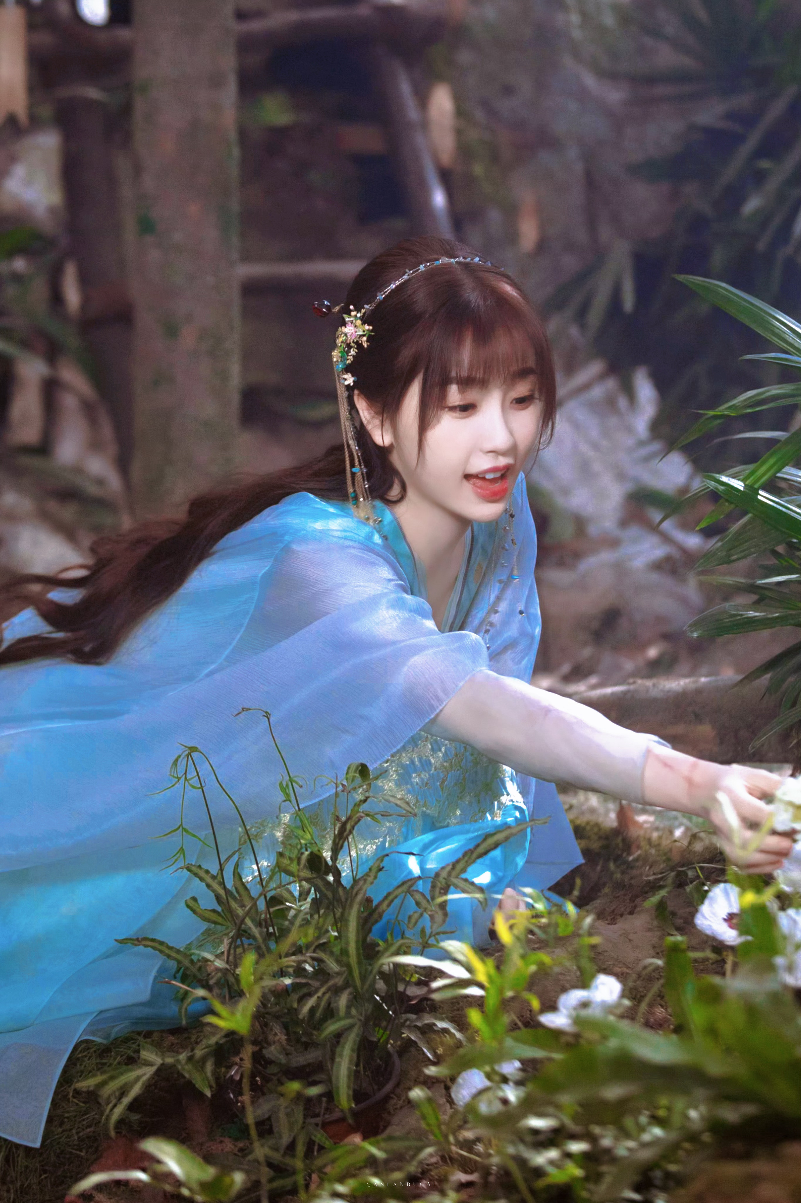 《与小兰花同行》第四年🌸苍兰诀