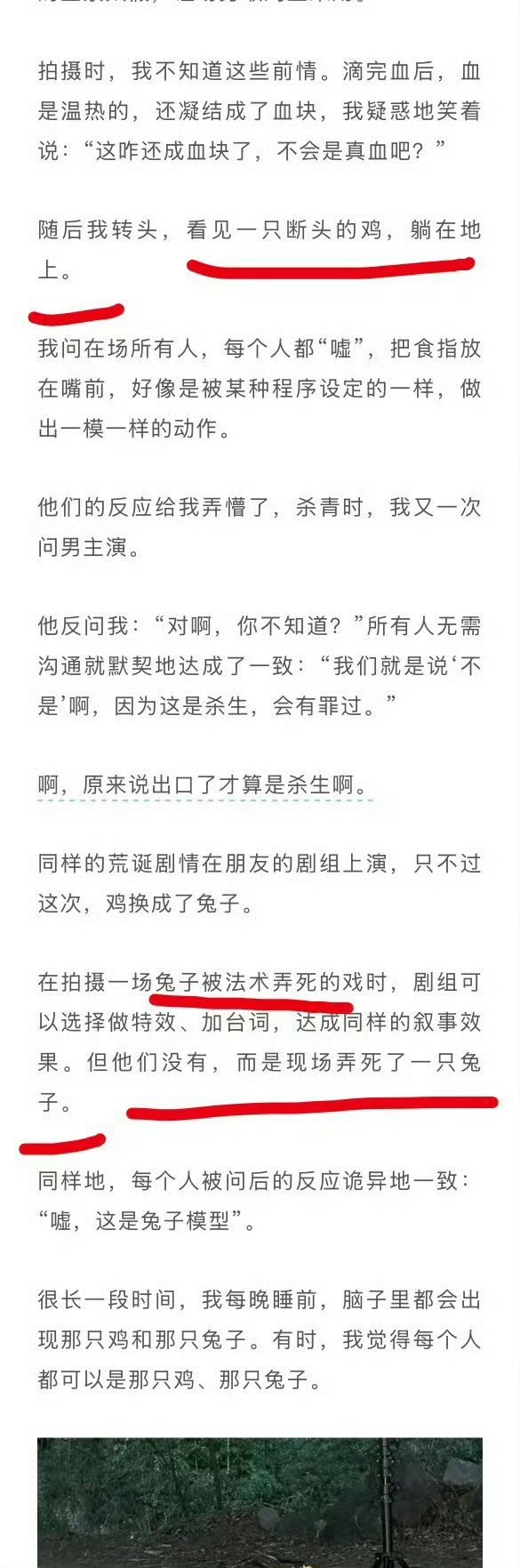 杀的是🐔和🐰 如果杀完之后做饭吃了也还好吧，平常也吃鸡鸭鱼肉的