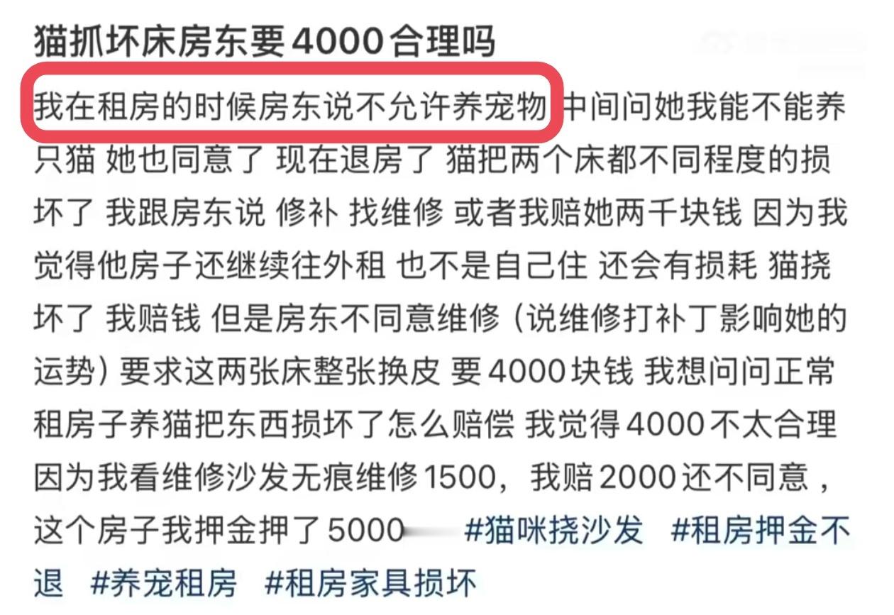 猫抓坏床房东要我赔4000合理吗本来就不允许养，你偏要养。抓坏了床要赔偿了又叽叽