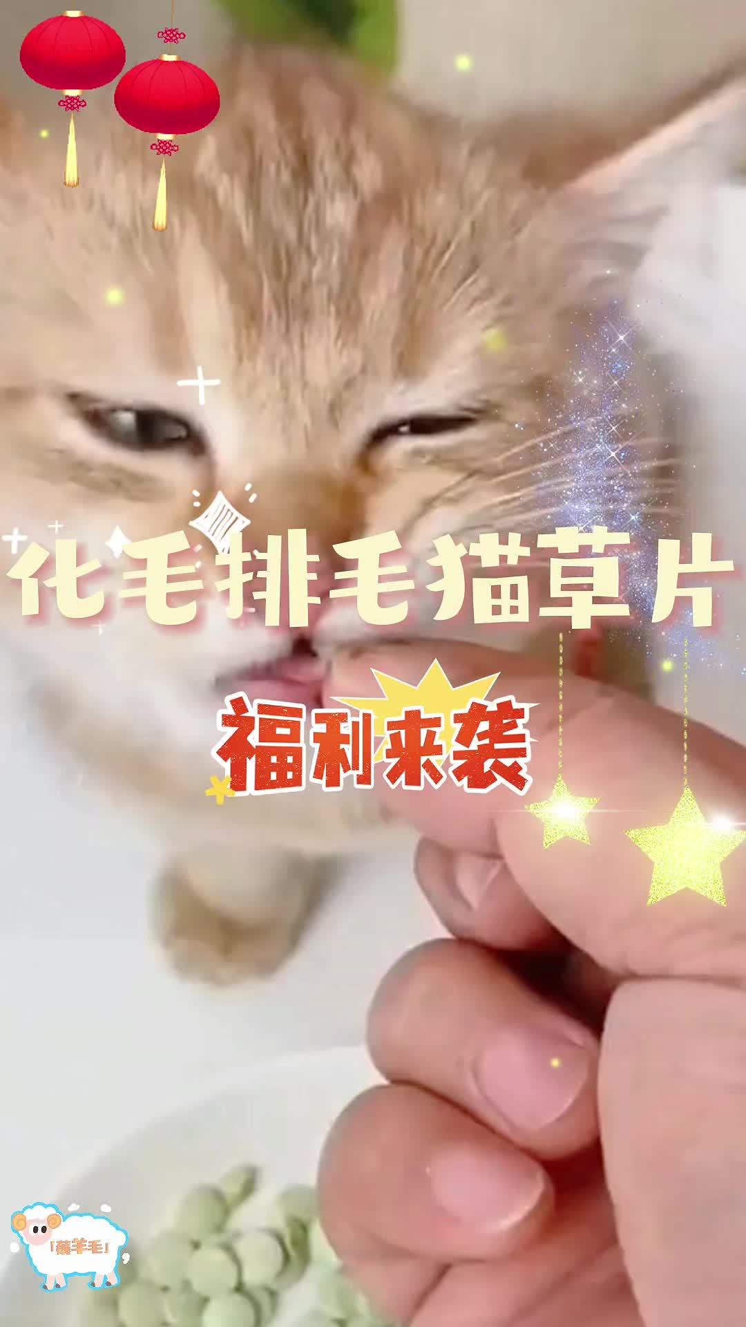 猫咪每天都在舔毛，如果不及时排毛就很容易形成毛球堆积，所以铲屎官一定要注意了