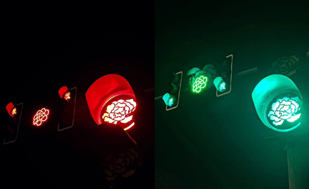 河南洛阳：牡丹花红绿灯 ​​​