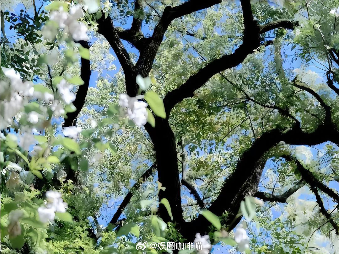 心里装着美好，眼里的世界就美好内心柔软且有原则，身披铠甲而有温度要努力呀，为了想