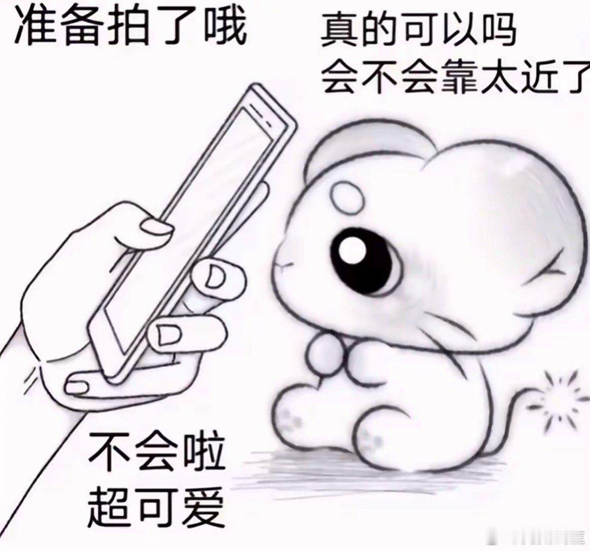 有两只小猫非常适配这两张图 得能勇志和前田陸就是两个特别可爱的小猫 