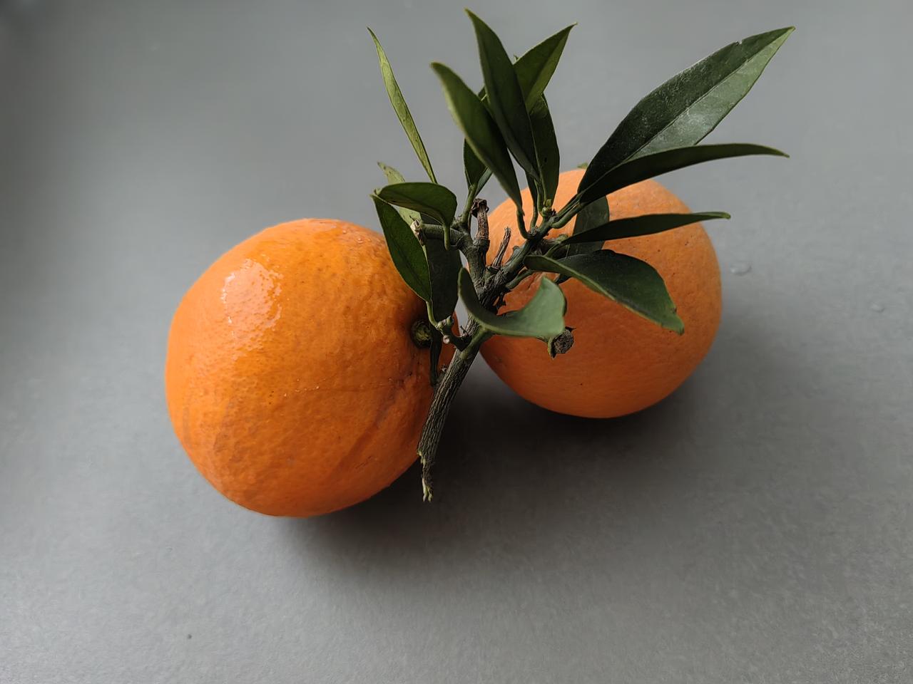 天天陪伴我成长，增长不少知识，养生，娱乐，真是取之不尽用之不竭，非常好[赞]