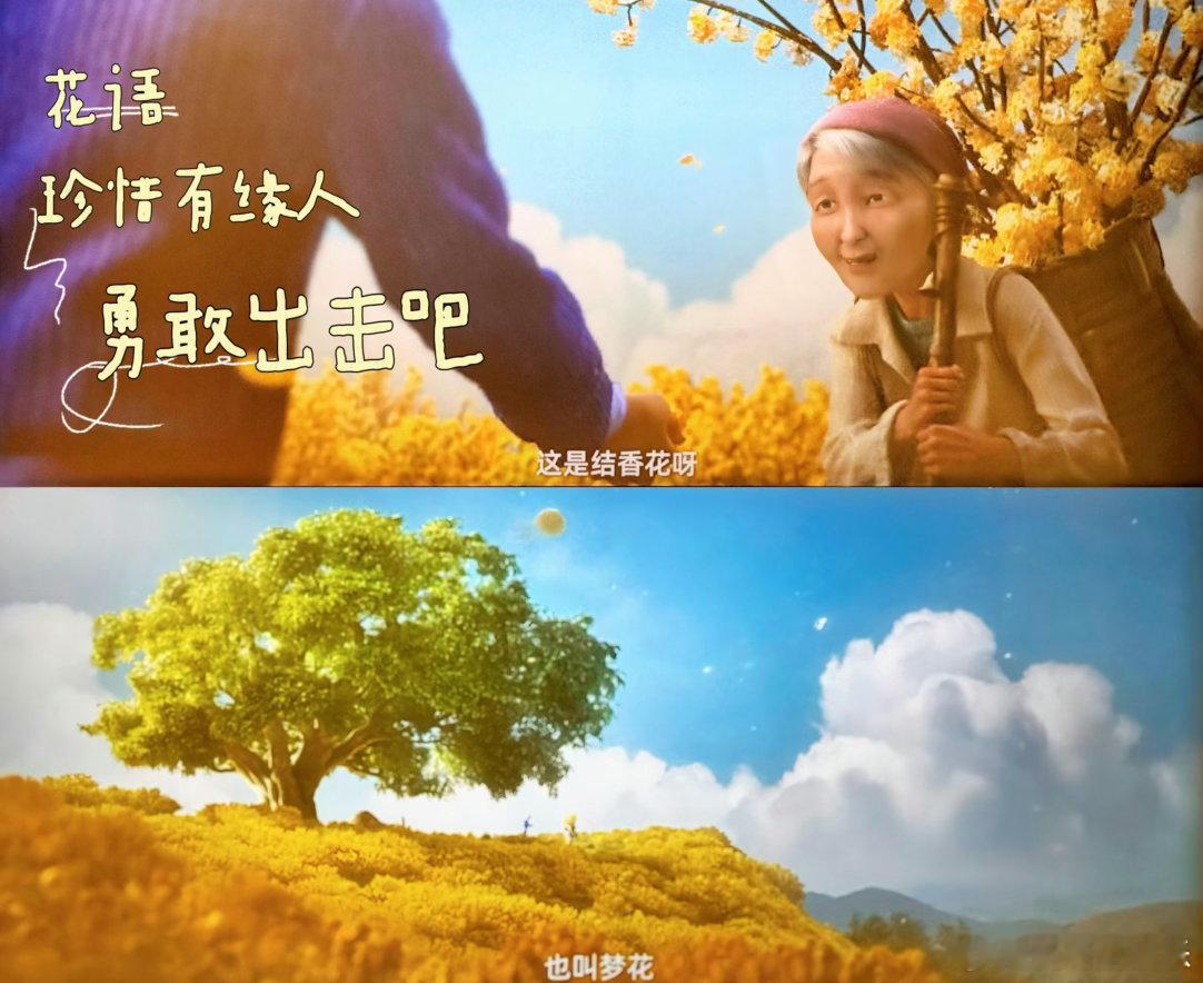 去你的岛豆瓣开分8.0💌晋江高人气小说影视化成功，豆瓣开分8分，把原著的遗憾与