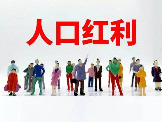 中国为什么如此害怕人口减少，原因就是中国经济的主脉，与其他国家完全不同，过去几十