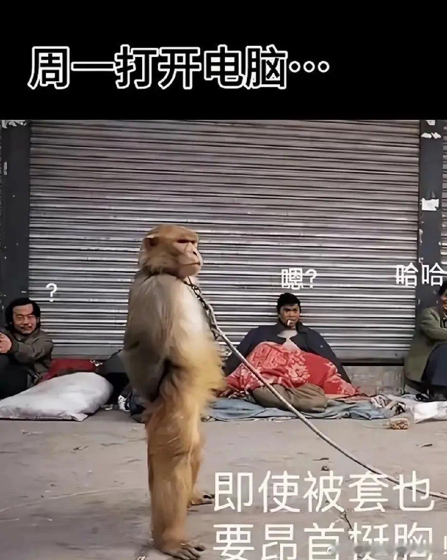“易中天”的“天”出业绩了，不说落井下石吧，但是不是嫌场面还不够乱吗？天孚通信是