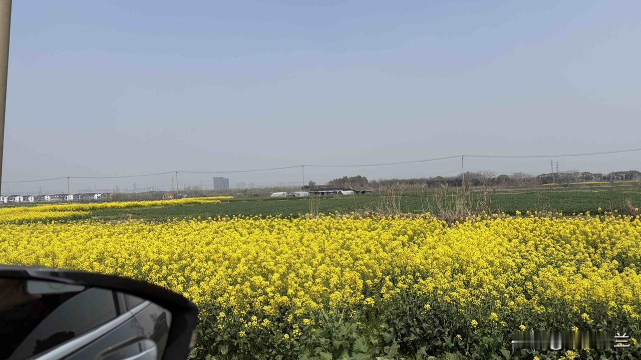 前天去扫墓，发现又让烧纸钱了。


好像是2022年疫情那年开始，墓园里就不让烧