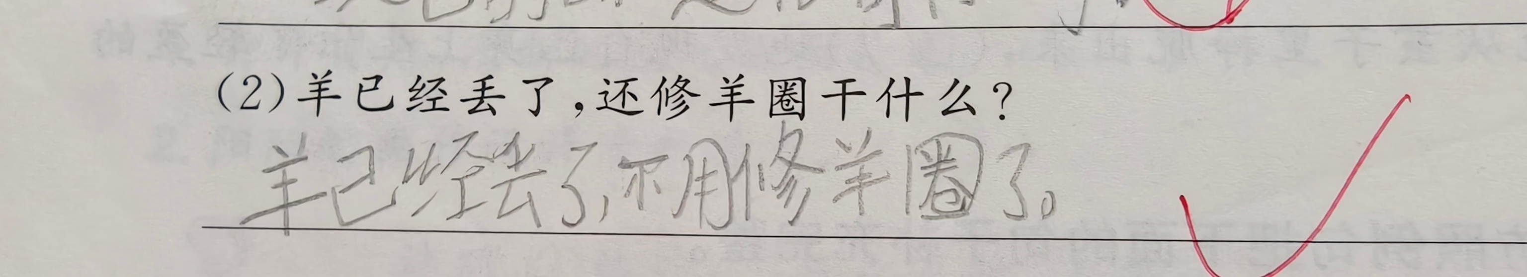 晚上因为这道题，诺跟我杠起来，杠得他面红耳赤。我说这题答案就是：羊已经丢了，不用