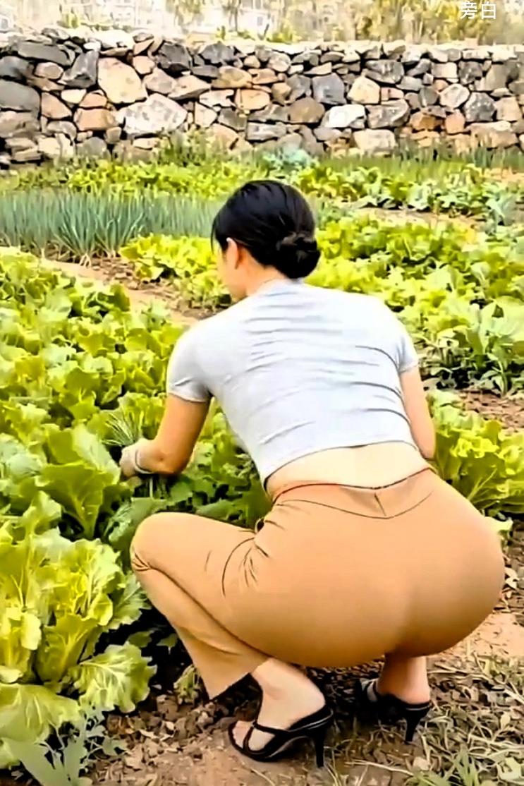 菜市场上的怪现象？
不知你们是否留意到，
菜市场地摊卖菜的，几乎多是农村老年人。