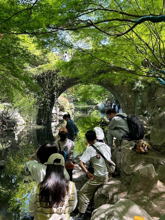 4.6 柳浪闻莺现状，绿野仙踪互勉拍照咯📷