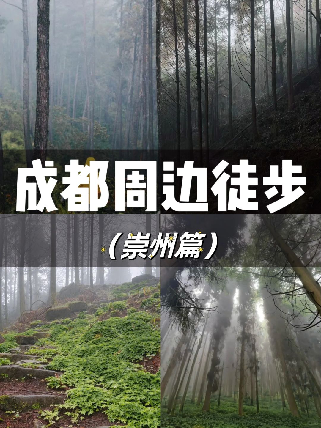 成都周边❗️3月徒步招募 当天往返路线推荐