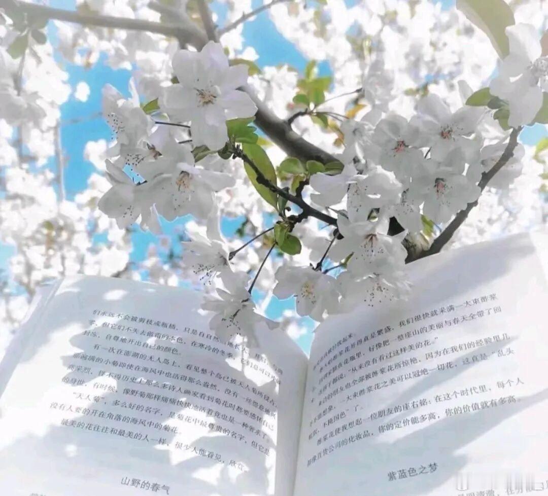 放弃这个词看着挺丧气，但其实放弃意味着新的开始。敢与过去告别，敢于摧毁过去亲手建