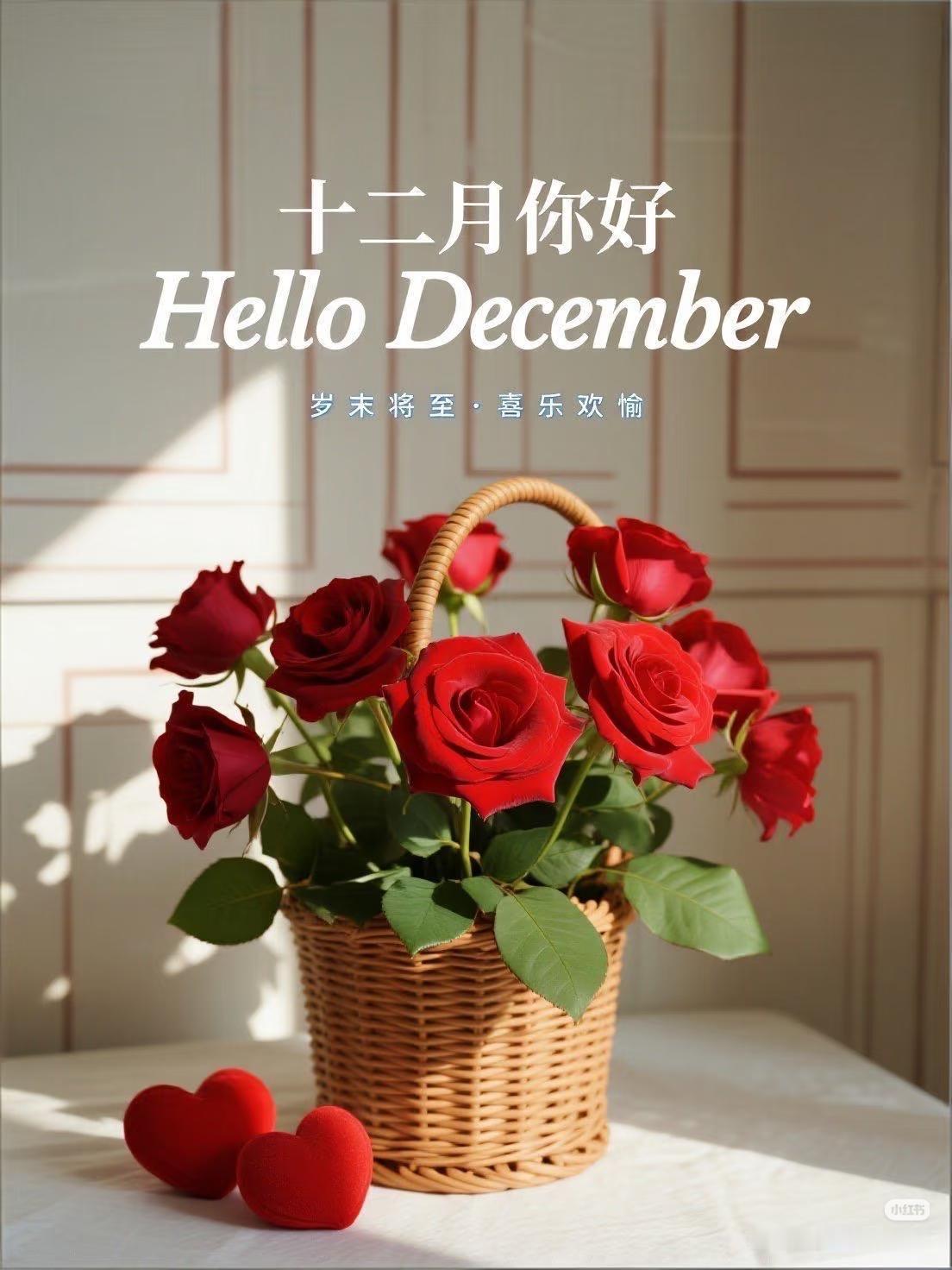 今天是新的一个月，新的一周的开始，愿我们事事如意,身体健康，积攒的美好，都在这个