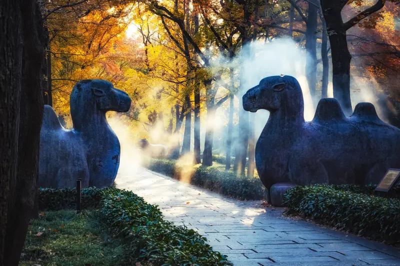 南京和扬州，一个大气古都，一个温婉小城，各有千秋。
南京虎踞龙盘，历史厚重。中山