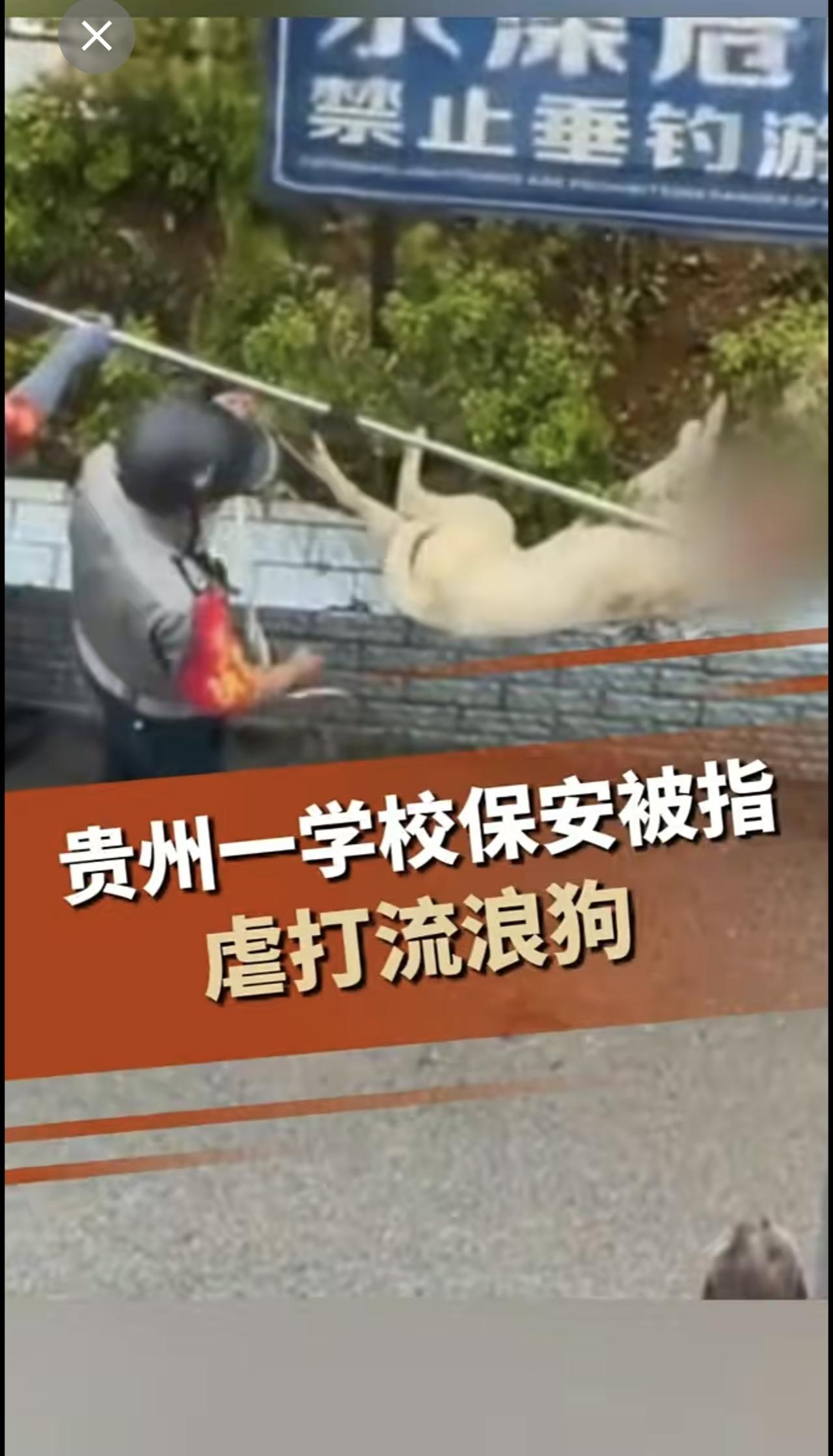 贵州一学校保安被指虐打流浪狗，校方：没打死，狗咬死了农工系的鸭子
