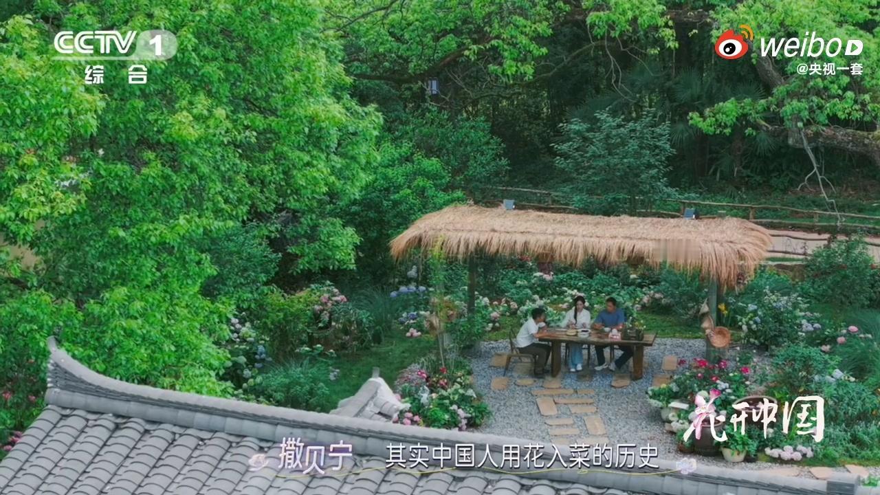古人把花吃出了花古人在吃花这事上可太会玩！樱花变身坛中酸，梅花成了酒里香。苏轼还