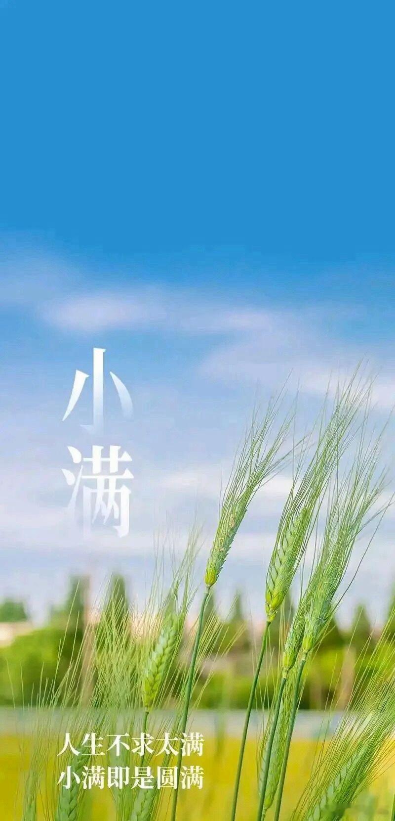 今天是个好日子 小满胜大全 