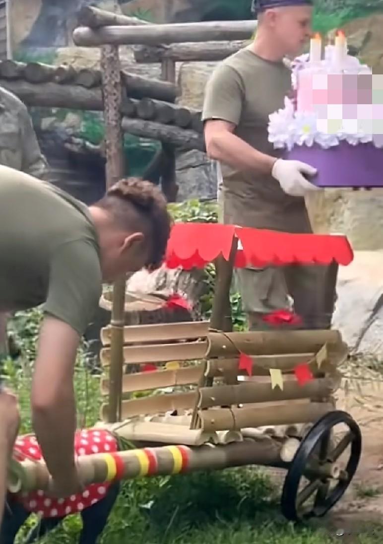 8月24日，中国驻俄罗斯大使馆与莫斯科动物园，共同为大熊猫“喀秋莎”举办三周岁生