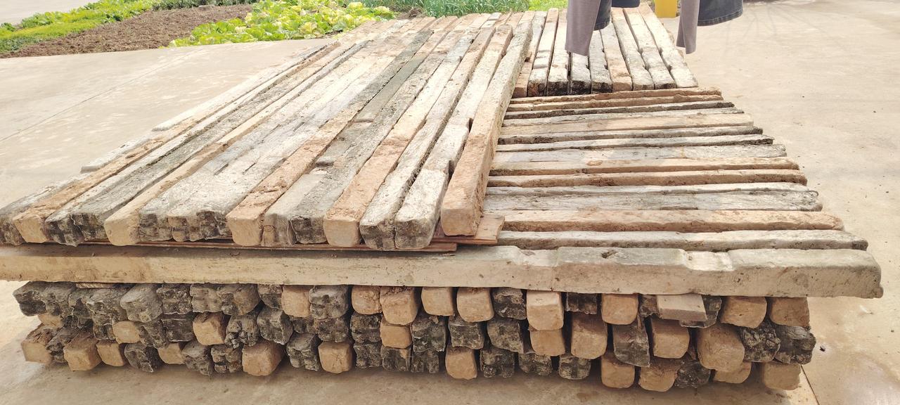 舅舅的葡萄柱。种葡萄是要搭架，结实的话还是水泥柱。舅舅种了几年葡萄，用的是2.5