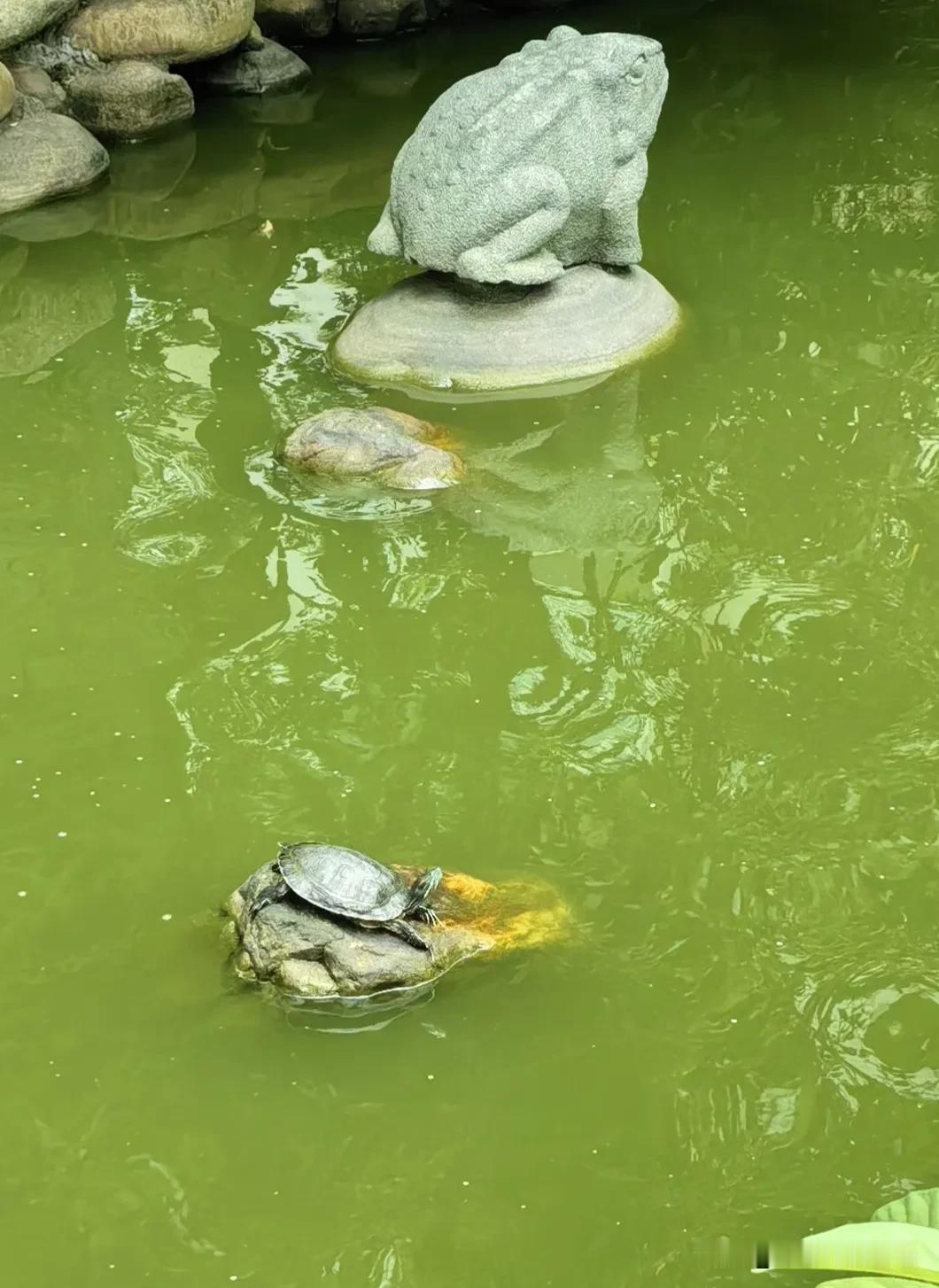 看遍世间浮沉